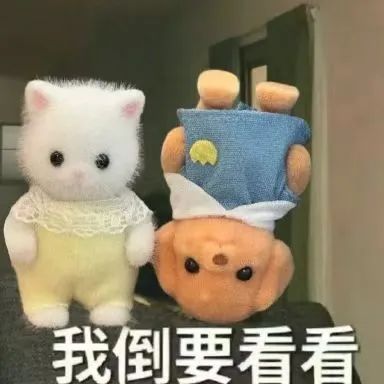 202412314515567 J9直营集团【中国区】官方网站