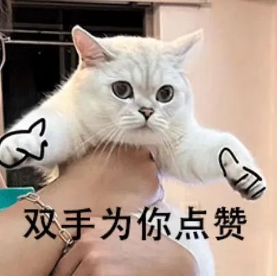 202412316522395 J9直营集团【中国区】官方网站