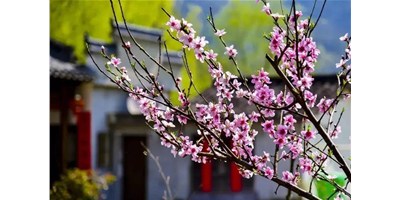 阳春三月，J9直营集团精机一大波展会即将来袭，您筹备好了吗？